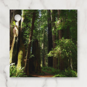 Etiquetas Para Recuerdos Secuoyas y ferris en el Parque Nacional Redwood