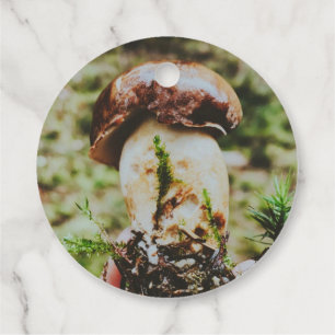 Etiquetas Para Recuerdos Setas Porcini en el bosque sueco