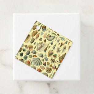 Etiquetas Para Recuerdos Shell de conchas marinas Mollusk Clam Elegante Art