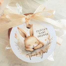 Etiquetas Para Recuerdos Slumber Bunny Boys Baby Shower Favor