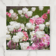 Tulipanes blancos y rosas brillantes en un día sol