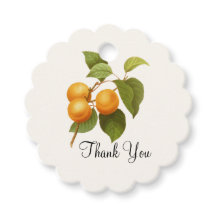 Vintage Naranja Apricots Watercolor Gracias