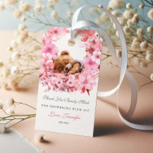 Adorable Dormido Teddy Bear Plush Gracias