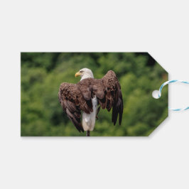 Etiquetas Para Regalos Águila calva en una rama