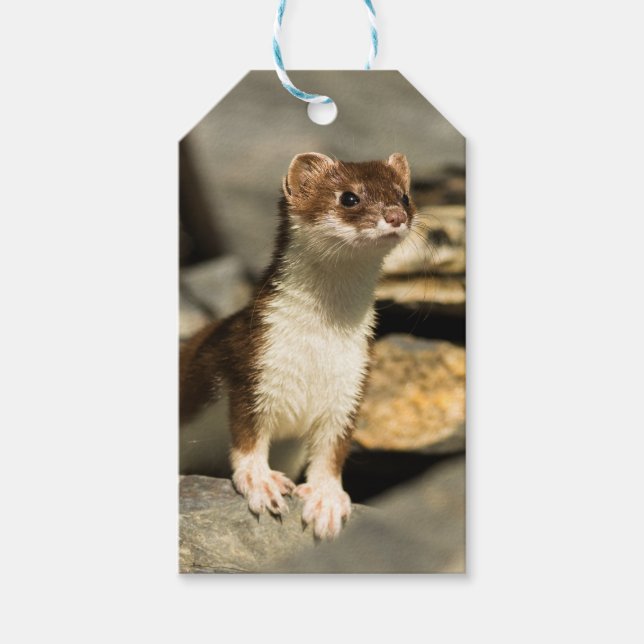 Etiquetas Para Regalos Alert Weasel (Anverso)