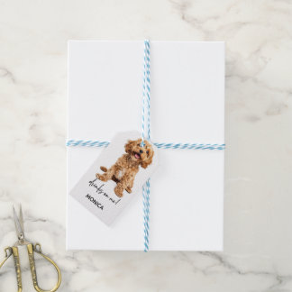 Etiquetas Para Regalos Almohadón de decoración de barra para fiestas dive