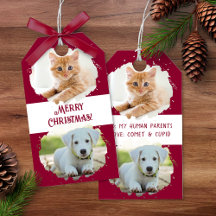 Amantes de las Mascotas Personalizadas Dos Fotos N