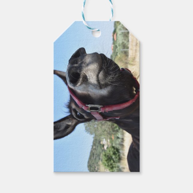Etiquetas Para Regalos ¡Amo A Los Burros! (Anverso)