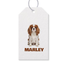 Amor Personalizado Nombre Amante Perros