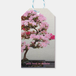 Etiquetas Para Regalos Árbol Bonsai