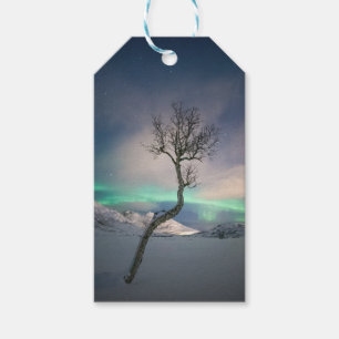 Etiquetas Para Regalos Árbol de luces boreales