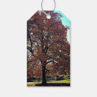 Etiquetas Para Regalos Árbol de otoño