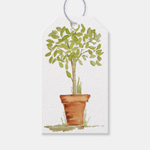 Etiquetas Para Regalos Árbol del Topiary de la acuarela