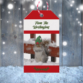 Etiquetas Para Regalos Ardilla con sombrero verde nevado rojo y blanco 