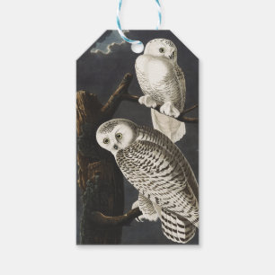 Etiquetas Para Regalos Arte de ave nocturna de búho de nieve vintage Audu