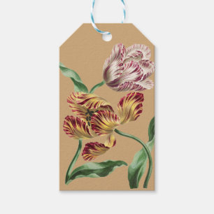 Etiquetas Para Regalos Arte de Tulipán Botánico del Siglo XVIII Chic Vint