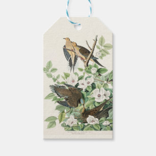 Etiquetas Para Regalos Arte Vintage de Audubon de la Paloma Llorona y Flo