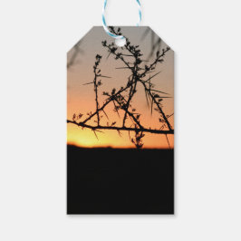 Etiquetas Para Regalos Atardecer africano con espinosa silueta de árbol d