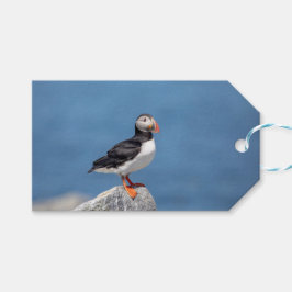 Etiquetas Para Regalos Atún de aleta atlántica en Maquias, Maine