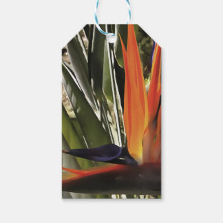 Etiquetas Para Regalos Ave del Paraíso Strelitzia Reginae Acrílico Painti