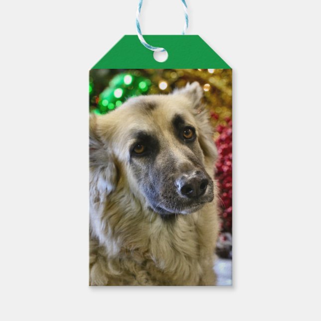 Etiquetas Para Regalos Aww (Anverso)