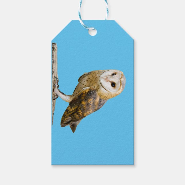 Etiquetas Para Regalos Barn Owl (Anverso)