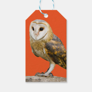 Etiquetas Para Regalos Barn Owl