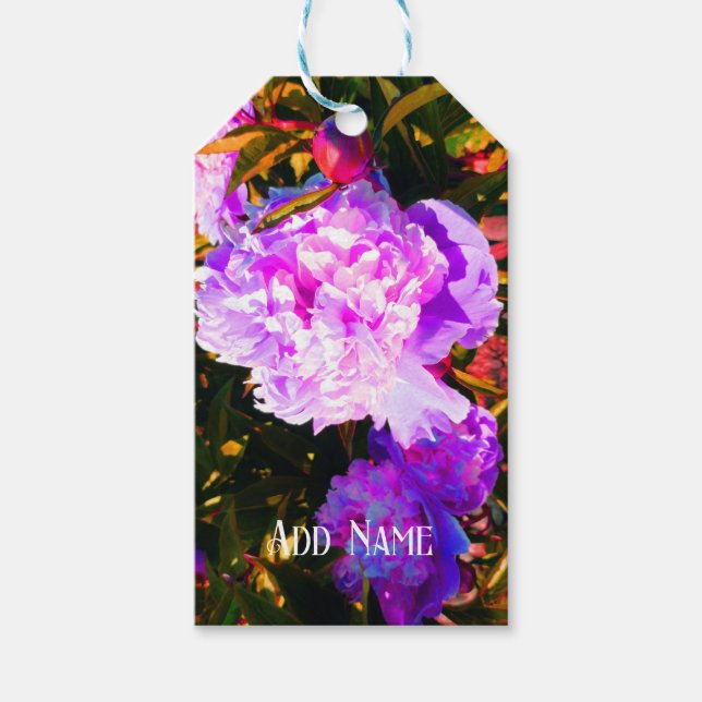 Etiquetas Para Regalos Bellas peonías rosas (Anverso)