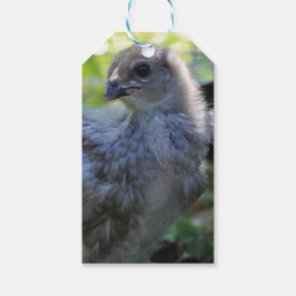 Etiquetas Para Regalos Bluebell