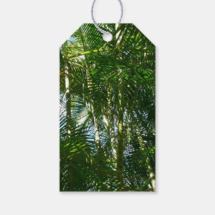 Etiquetas Para Regalos Bosque de palmeras Naturaleza tropical