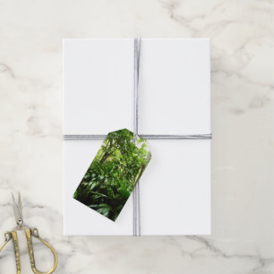 Etiquetas Para Regalos Bosque lluvioso dominicano I Naturaleza tropical v