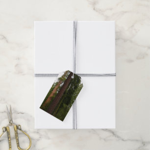 Etiquetas Para Regalos Bosque Mariposa en el Parque Nacional Yosemite