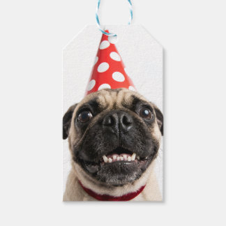 Etiquetas Para Regalos Cachorro Pug lindo de cumpleaños con sombrero rojo
