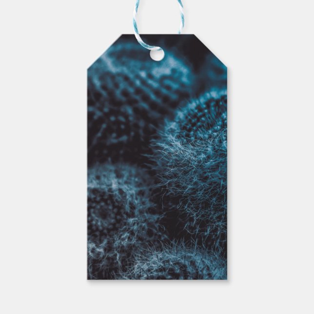 Etiquetas Para Regalos Cactus oscuro (Anverso)