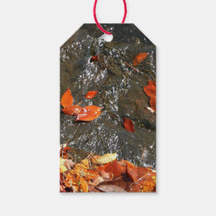 Etiquetas Para Regalos Caídas en cataratas en fotografía de otoño