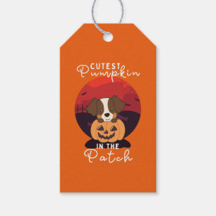 Etiquetas Para Regalos Calabaza pastora australiana en el parche