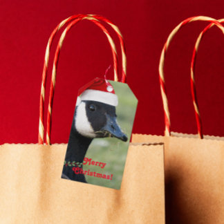 Etiquetas Para Regalos Canadá Goose con vacaciones en Santa Hat