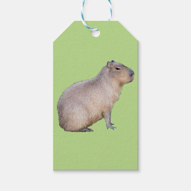 Etiquetas Para Regalos Capibara (Anverso)