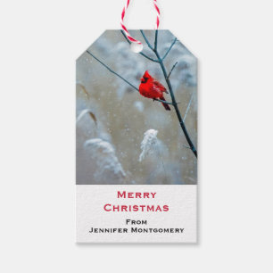 Etiquetas Para Regalos Cardenal rojo en Navidades de fotografía de natura