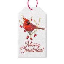 Cardenal Snowy