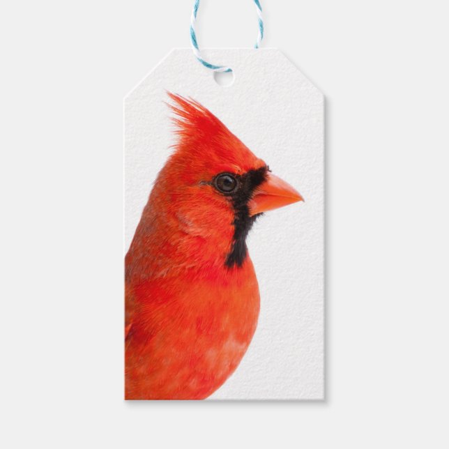 Etiquetas Para Regalos Cardinal (Anverso)