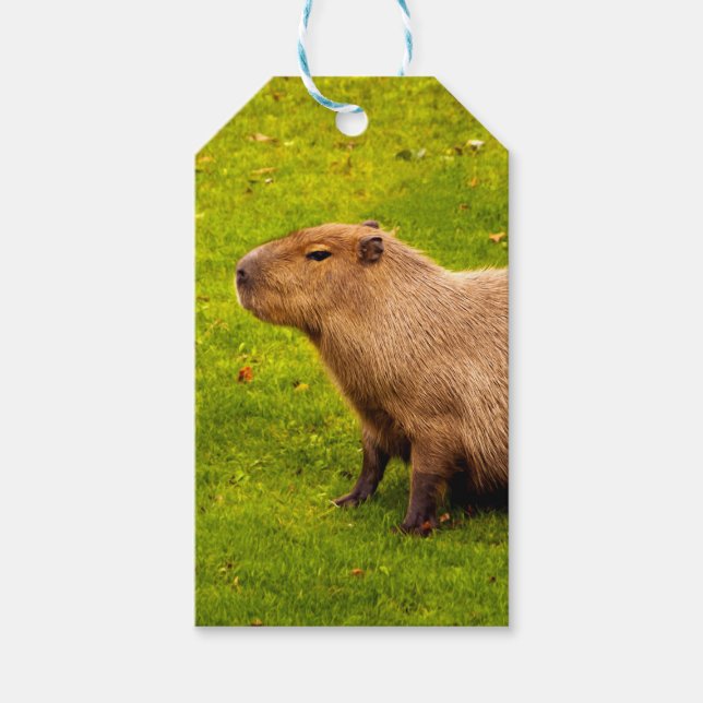 Etiquetas Para Regalos Carpincho (Anverso)