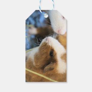 Etiquetas Para Regalos Cerdo