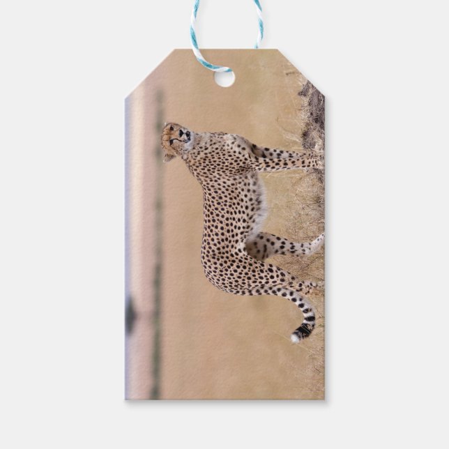 Etiquetas Para Regalos Cheetah (Anverso)