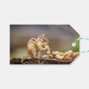 Etiquetas Para Regalos Chipmunk comiendo un maní