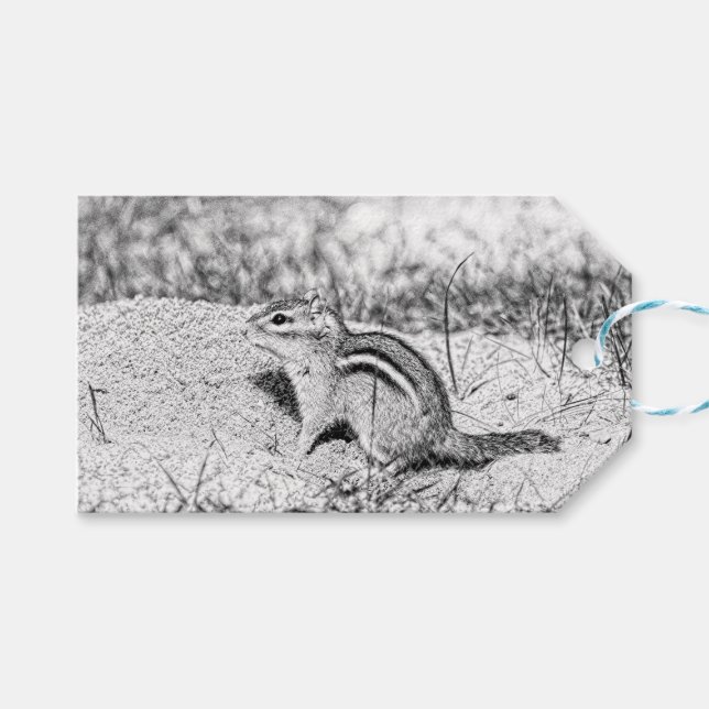Etiquetas Para Regalos Chipmunk Sketch (Frente (Horizontal))