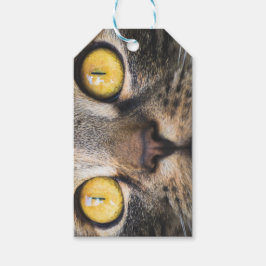 Etiquetas Para Regalos Cierre de gato con ojos amarillos