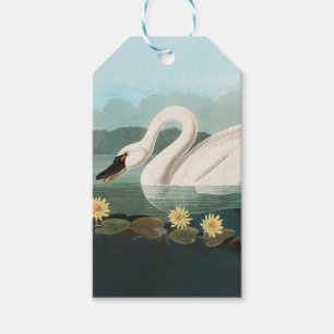 Etiquetas Para Regalos cisnes de agua blanca de cisne audubon