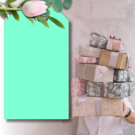 Etiquetas Para Regalos Color sólido Pastel Aqua | Clásica | Elegante