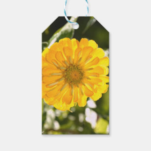 Etiquetas Para Regalos Cosmo amarillo, flor amarilla, flor amarilla